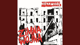 Video thumbnail of "Zimna Wojna - Yolo"