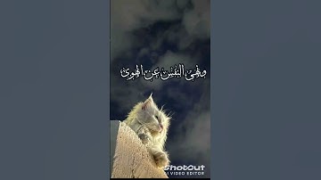 اكتب شيئ تؤجر عليه #قران كريم #القارئ اسلام صبحي #راحة نفسية #اكسبلور #لايك