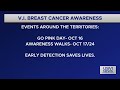 VI Breast Cancer Awareness