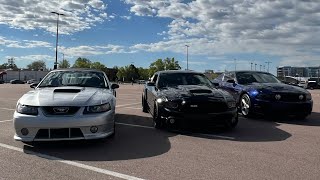 Mustang Family