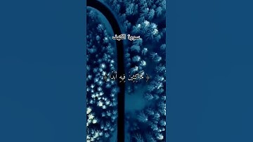 #لايك #اكسبلور #قرآن #راحة_نفسية #سورة_الكهف #فارس_عباد