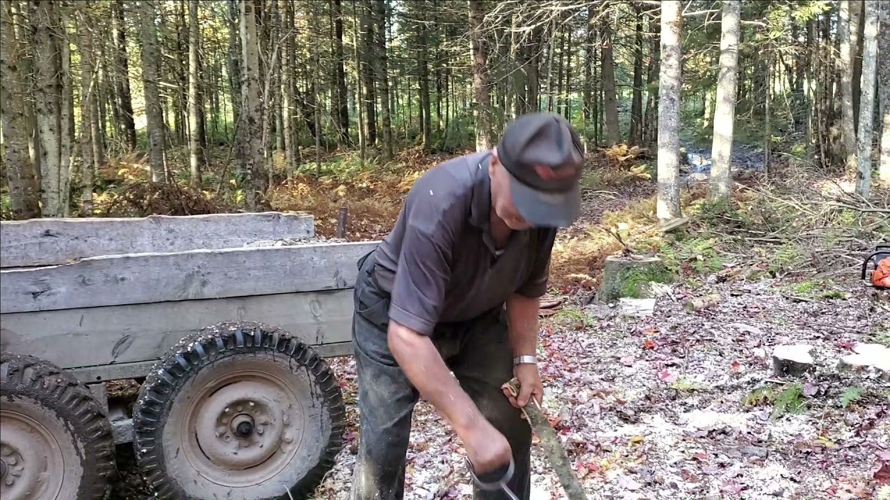Jos encore bucheron à 80 ans!
