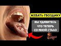 Просто начал ЖЕВАТЬ гвоздику и избавился от НЕДУГОВ! Польза и вред гвоздики.