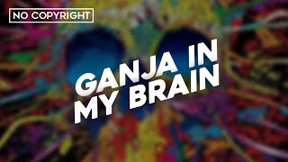 Ganja In My Brain Remix | Ganja In My Brain DJ | Drunken Panda Music