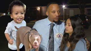 Toddler’s parents talk about their son’s death in a vicious pit bull attack