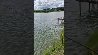Topwater popper vs walking bait – fish react DIFFERENTLY 🌊 #TopwaterLures #Popper #Shorts