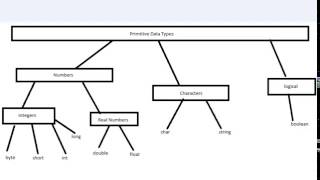 Celebrity Visual Basic Tutorial   5   Primitive Data Types Profile