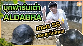 บุกฟาร์มเต่ายักษ์ Aldabra เกรดสวยที่สุดในไทย!! จะได้กลับบ้านสักตัวไหม? หายากมาก!! l KAYAVINE