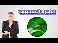 طائرة حربية مقاتلة في حجم يعسوب - نقد نظرية التطور لداروين | عبدالدائم الكحيل