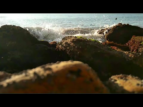 ASMR Durma com SONS NATURAIS das ondas do mar