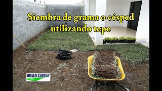 ¿Cómo sembrar grama o césped utilizando tepes? (Rollos de césped o grama)