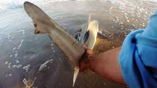 SOLO SHARKING - How to Land Sharks ON YOUR OWN & Surf Shark FISHING TIPS screenshot 3