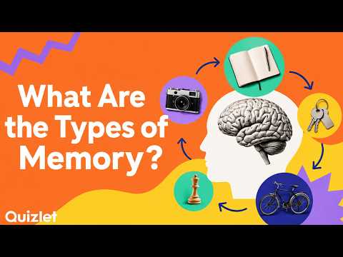 Types of Memory Explained (Short-Term, Working and Long-Term Memory)
