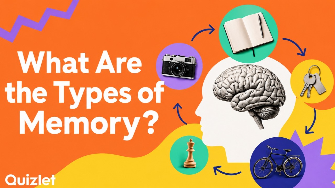 Types of Memory Explained (Short-Term, Working and Long-Term Memory)