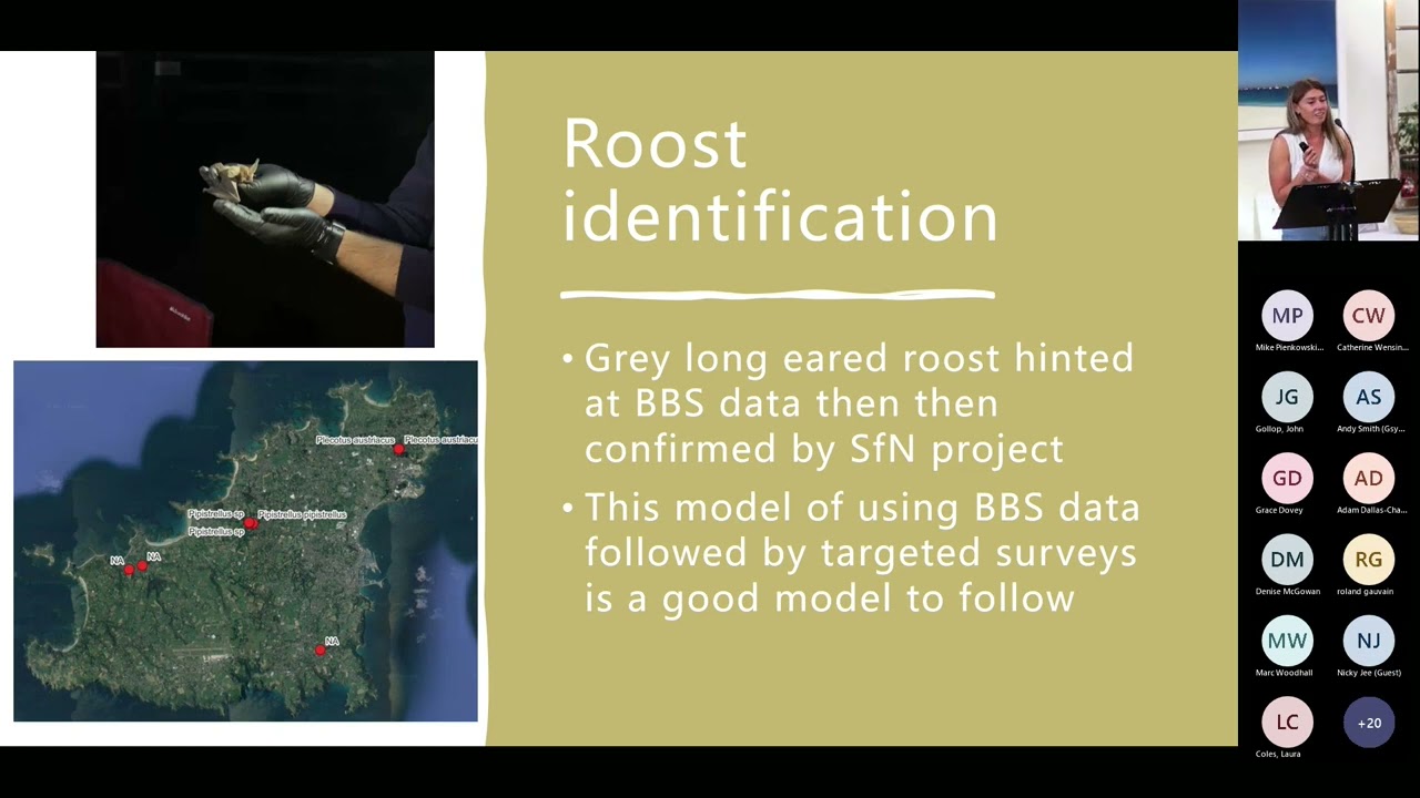 11  IIEM2022 A Sound Observation Bailiwick Bat Survey