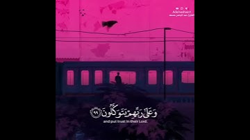 قرآن كريم بصوت عبد الرحمن مسعد - حالات واتس اب دينية