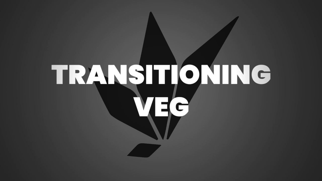 Transitioning Before Flipping Veg to Flower