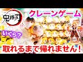 鬼滅の刃の煉獄さんぬいぐるみ取れるまで帰れません！いくらかかる？過去最高金額に？！【クレーンゲーム】