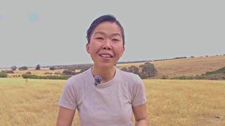 Culturally Responsive Practice in Higher Education: A CALD Educator Perspective