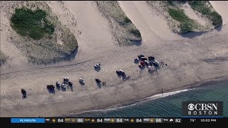 Mother, Son Rescued From Sand On Nauset Beach