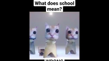 What does school mean WRONG ANSWERS ONLY