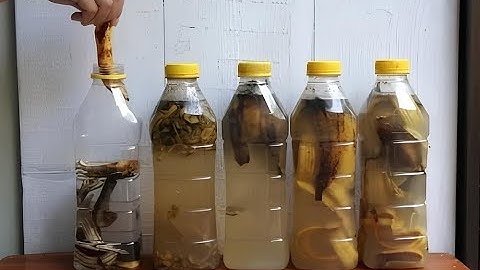 I was dying and didn't know it: I stopped throwing away banana peels! My grandmother's trick that...