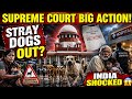 😱 Supreme Court EXPOSES System Failure? New Stray Dog Rule Could Change India Forever!