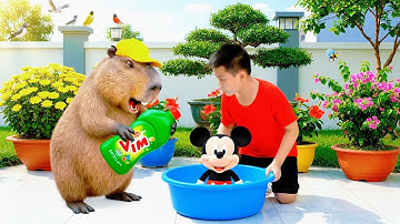 Capybara cùng Anh giúp bà tắm cho chuột Mickey và cái kết #capybara