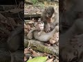 Baby Levy and family
