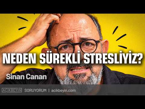 Why Are We Always Stressed? | SoruYorum | The Science of Well-Being Part 2