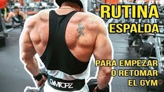 Back workout routine to start or return to the gym | Gymtopz