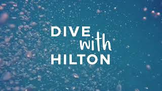 Dive with Hilton