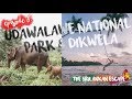 Finally reached South of Sri Lanka ☀️| Udawalawe Park &amp; Dikwella  | Ep 6 ~ The Srilankan Escape