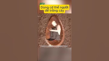 Dùng cơ thể người để trồng cây #tintuc #bian #khampha