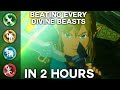 BEATING ALL DIVINE BEASTS IN 2 HOURS (SPEEDRUN)