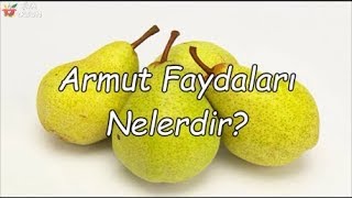 Armut Faydaları Nelerdir Resimi