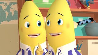The Banana Shop! | Bananas in Pyjamas Season 2 | Full Episodes | Bananas In Pyjamas