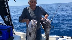 Pêche dans les fosses au large de Toulon