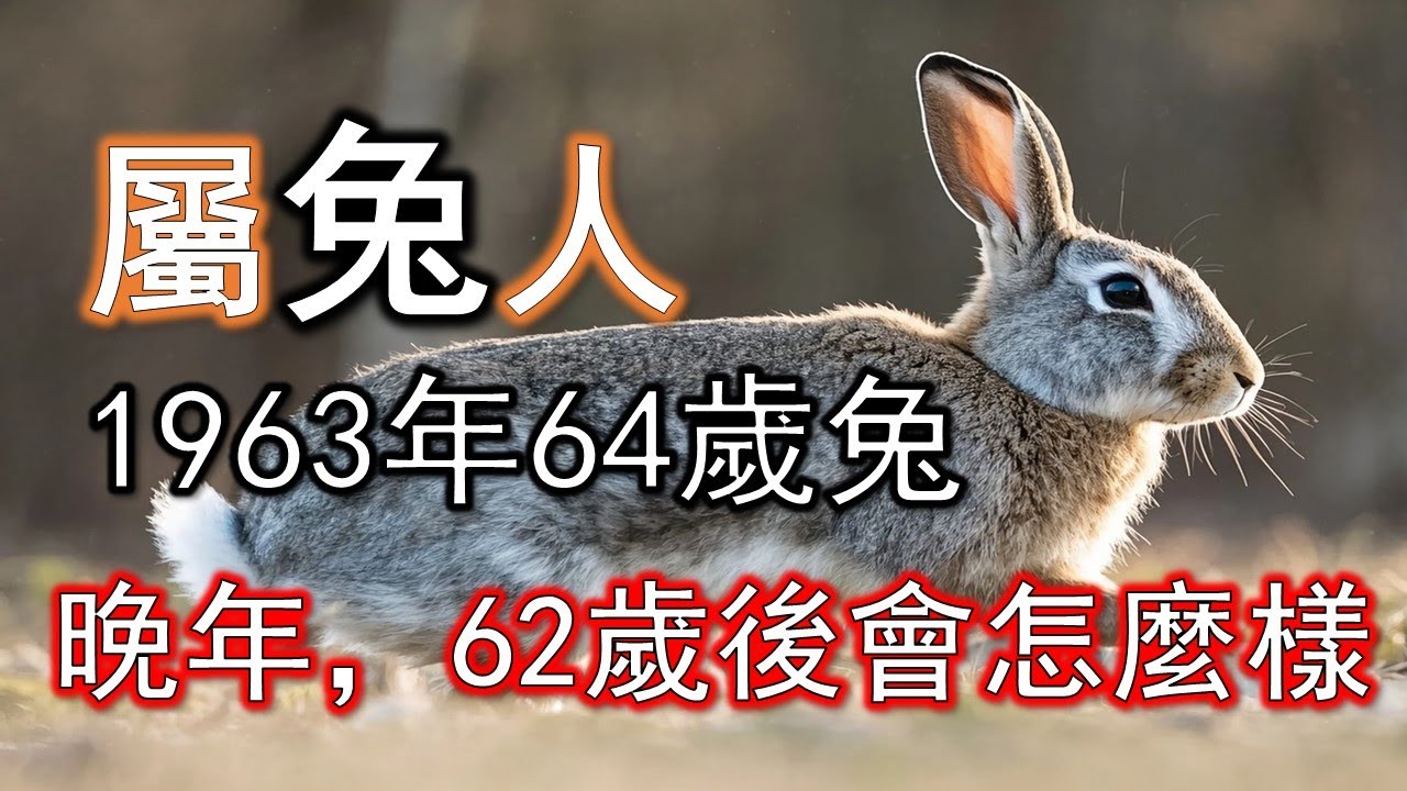 1963年屬兔人，晚年命運，62歲後會怎麼樣。#生肖兔#屬兔人#1963 兔