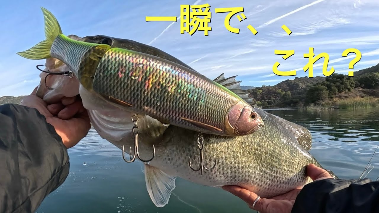 バス釣り] 初めてギラギラコウゲキ投げたらいきなり自己記録連れてきた