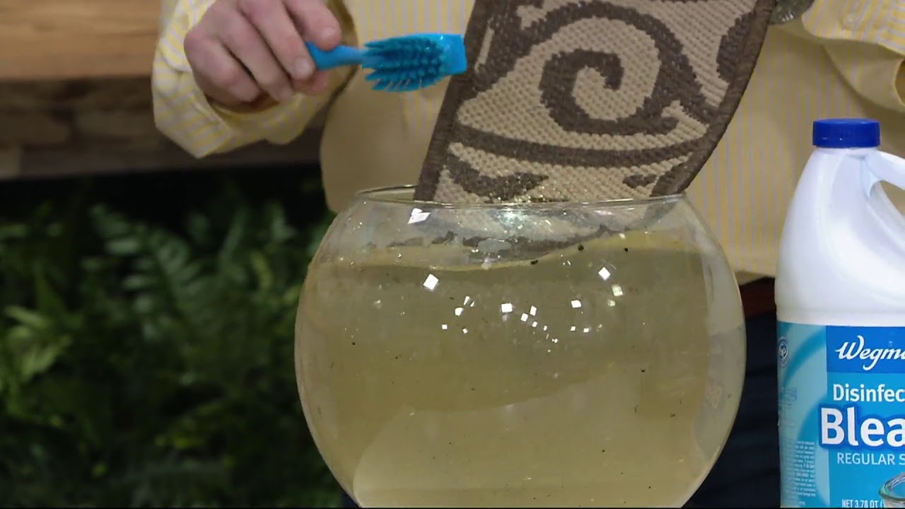 Veranda Living Filigree Border Indoor/Outdoor Reversible Rug on QVC