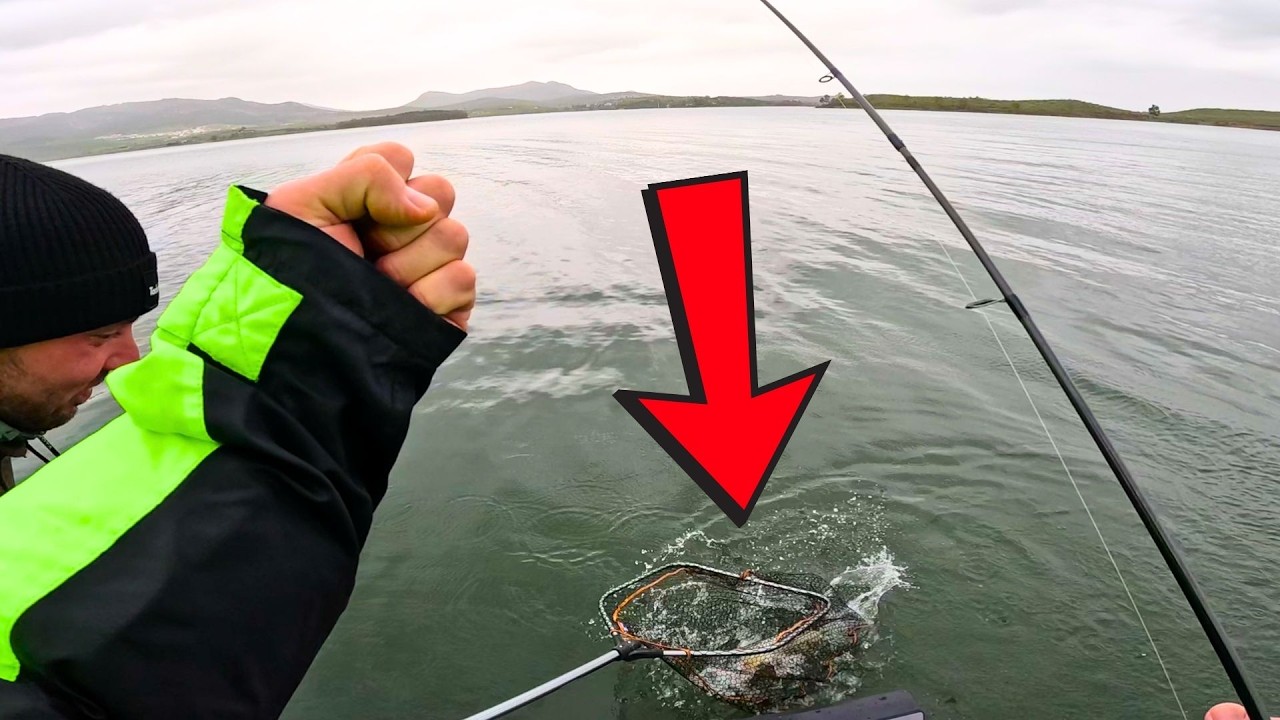 Mega-Tock! Richtiges Moped im Kescher