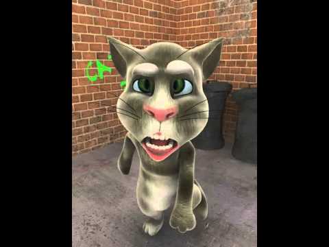 Cat Dancing Song - roblox pet the cat song kitty cat dance