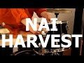 Nai harvest  buttercups live at little elephant 22