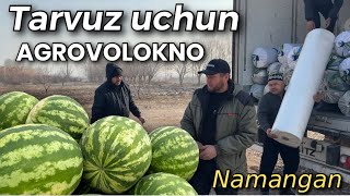 Tarvuz Ekishga Tayyormisiz? Tarvuz Ekadiganlar Uchun. Agrovolokno Yetkazib Berildi. Ali Baraka.