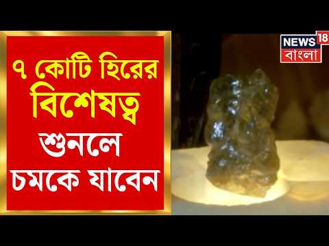 Karam Ganesh Diamond | হিরের দাম ৭ কোটি যা টেক্কা দেবে কোহিনূরকেও, এই হিরের বিশেষত্ব কী জানেন?