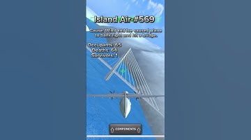 Island Air flight 569 (TFS) #turbopropflightsimulator #planecrash #aviation #kerosene