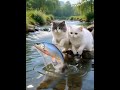 Funny cat #cat #trending #funny #trendingshorts