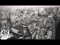 【B/W】Shiodome at dusk: Walking in Tokyo&#39;s Skyscrapers 4K HDR【Mono Mix】
