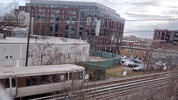 Starri - 2024 (MUSIC VIDEO)